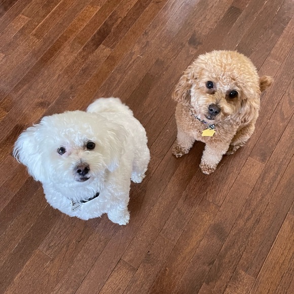 Meet the Posher - Picture 12 of 16